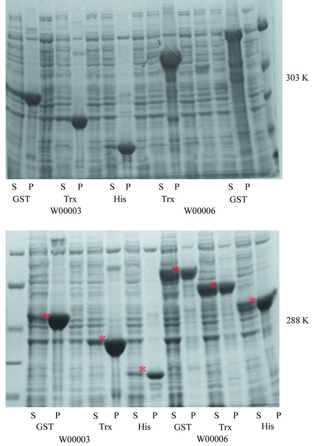 [Figure 6]