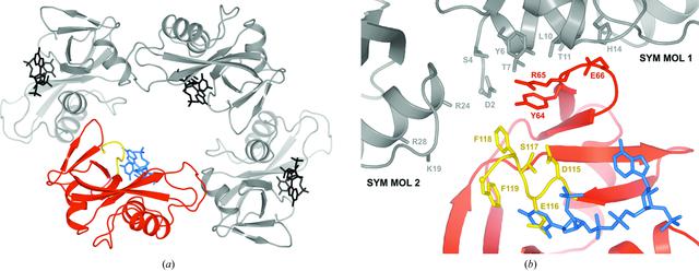 [Figure 6]