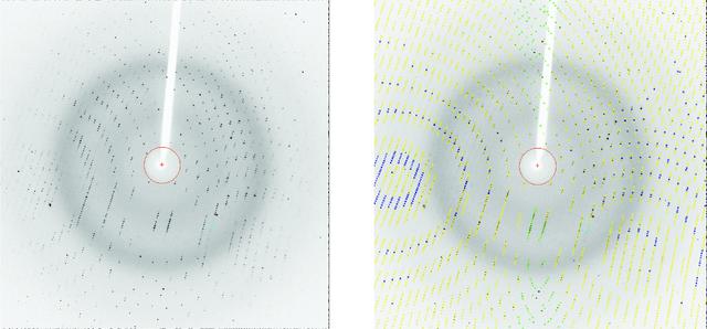 [Figure 1]