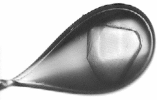 [Figure 1]