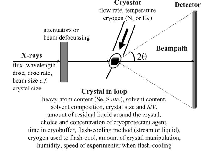 [Figure 10]