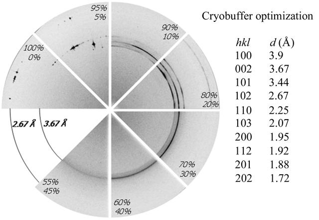 [Figure 2]