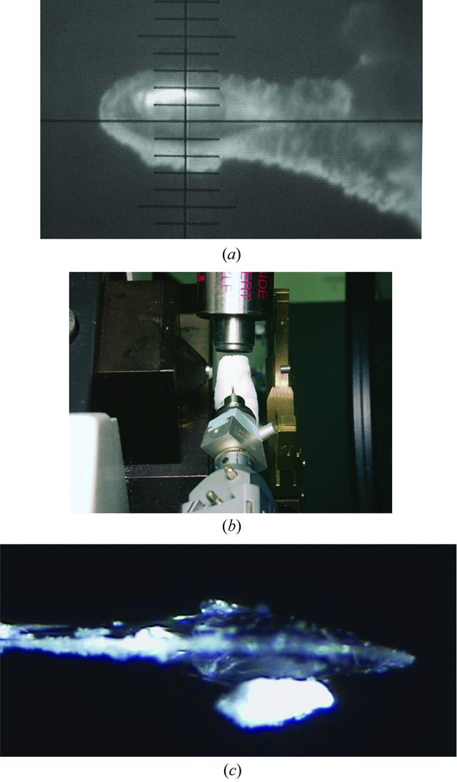 [Figure 5]