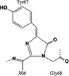 Chemical structure of zRFP574 chromophore
