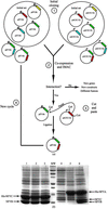 [Figure 1]