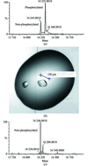 [Figure 1]
