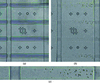 [Figure 2]