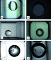 [Figure 4]