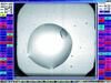 [Figure 7]
