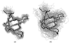 [Figure 3]