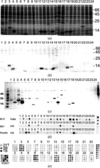 [Figure 1]