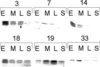 [Figure 4]