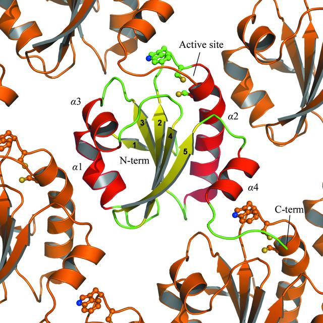 [Figure 1]