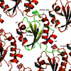 [Figure 1]