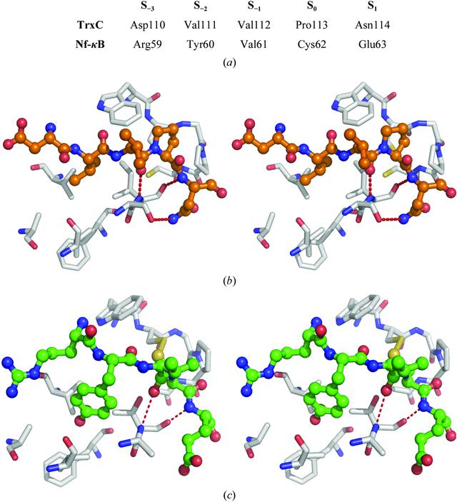 [Figure 2]
