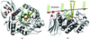 [Figure 6]
