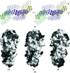 monomers