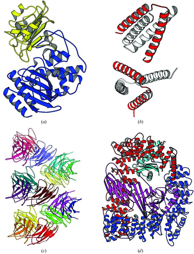 [Figure 4]