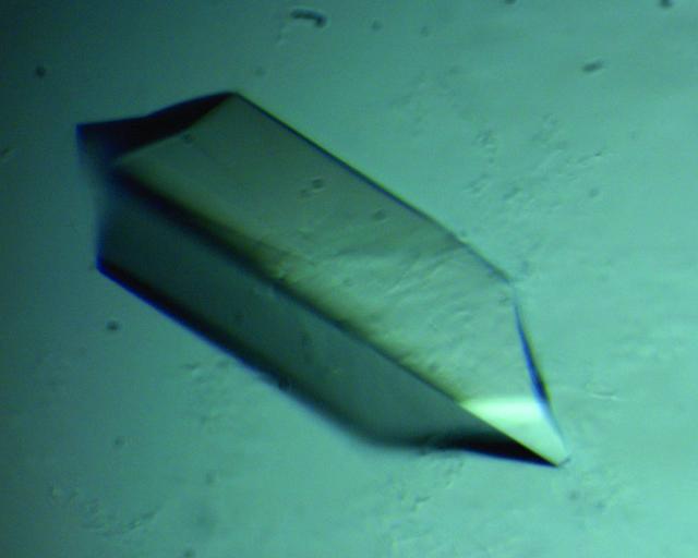 [Figure 1]