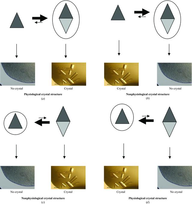 [Figure 1]
