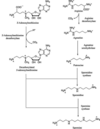 [Figure 1]