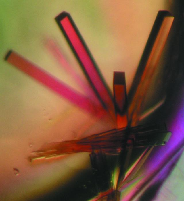 [Figure 1]