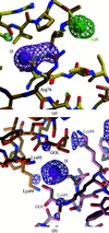 [Figure 5]