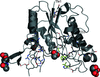 [Figure 1]