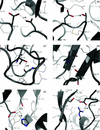[Figure 6]