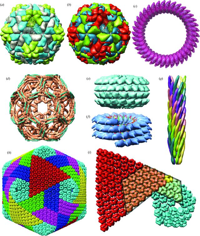 [Figure 2]