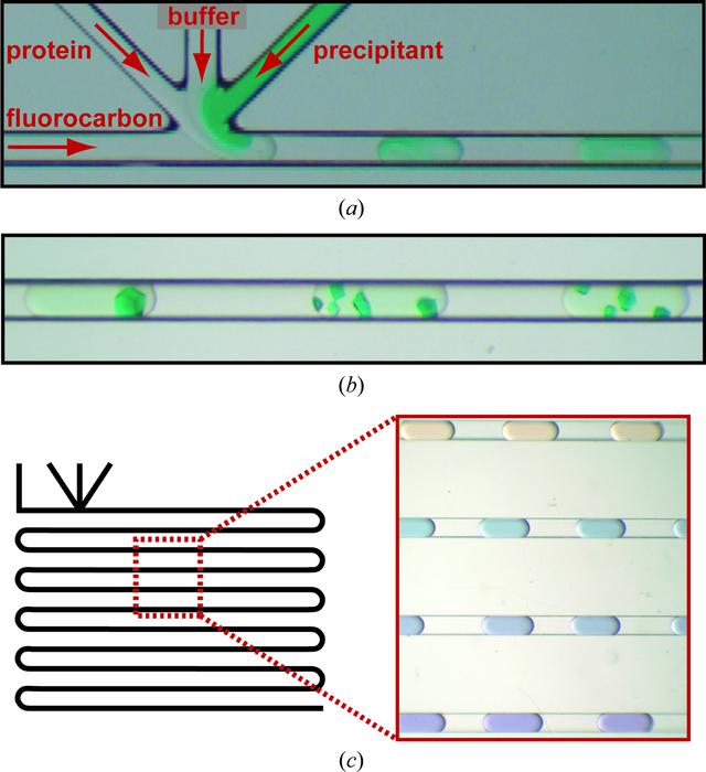 [Figure 1]