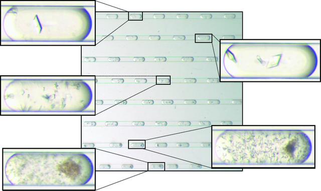 [Figure 3]