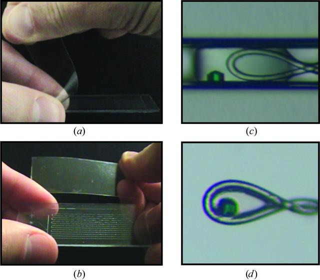 [Figure 4]