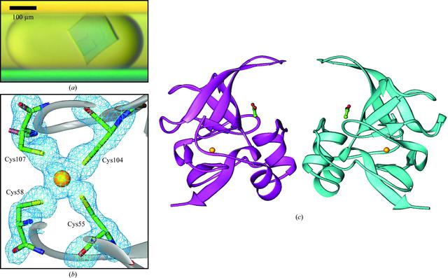 [Figure 5]