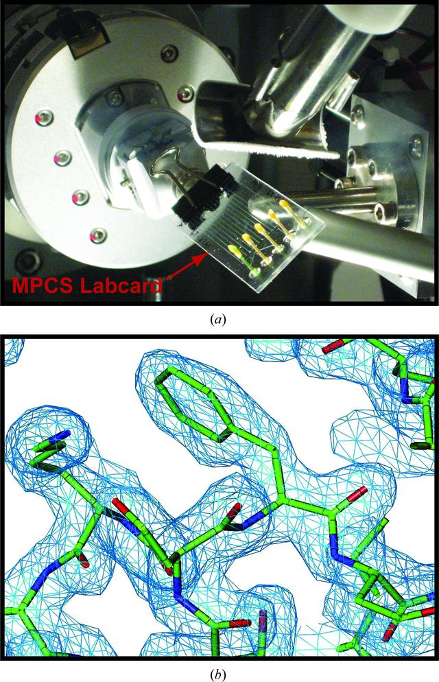 [Figure 6]