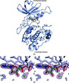 [Figure 1]