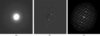 [Figure 1]