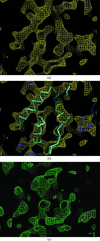 [Figure 4]