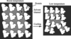 [Figure 1]