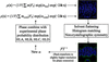 [Figure 15]