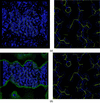[Figure 16]
