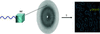 [Figure 1]