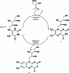 [Figure 1]