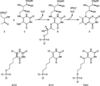 [Figure 4]