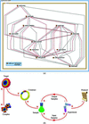 [Figure 1]