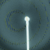 [Figure 10]