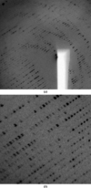 [Figure 1]