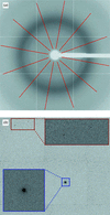 [Figure 5]