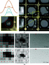 [Figure 3]