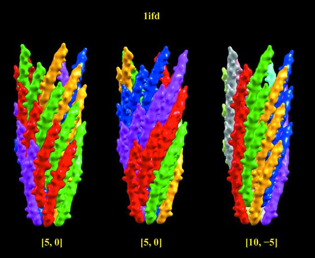 [Figure 5]